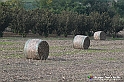 VBS_7679 - Andare lontano, oltre i campi da arare... e ancora più in là